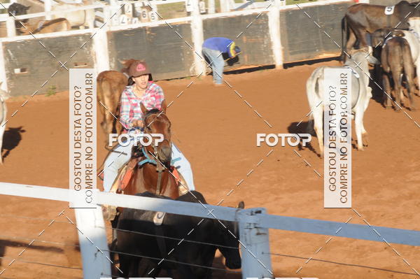 Buy your photos of the eventTEAM PENNING  GRANDE FINAL CAMARU on Fotop