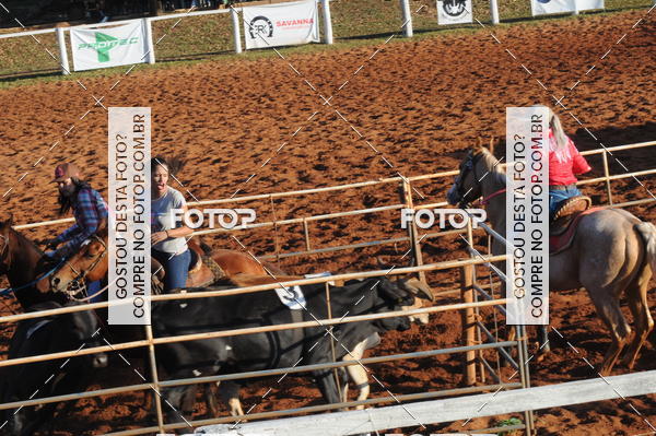 Buy your photos of the eventTEAM PENNING  GRANDE FINAL CAMARU on Fotop