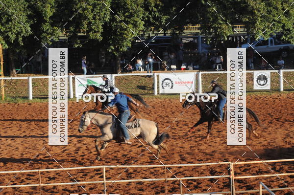 Buy your photos of the eventTEAM PENNING  GRANDE FINAL CAMARU on Fotop