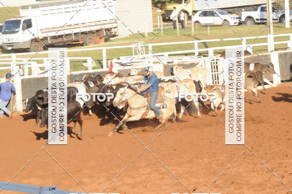 Buy your photos of the eventTEAM PENNING  GRANDE FINAL CAMARU on Fotop