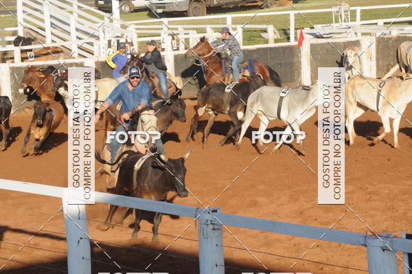 Buy your photos of the eventTEAM PENNING  GRANDE FINAL CAMARU on Fotop