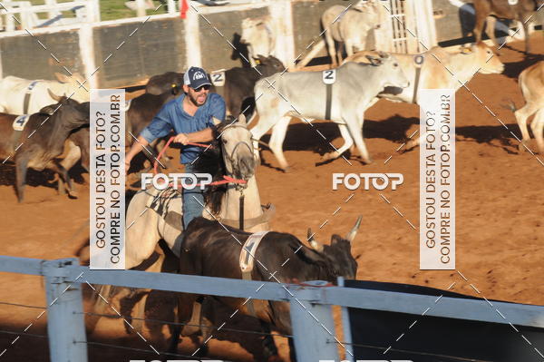 Buy your photos of the eventTEAM PENNING  GRANDE FINAL CAMARU on Fotop