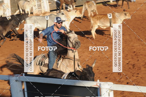 Buy your photos of the eventTEAM PENNING  GRANDE FINAL CAMARU on Fotop