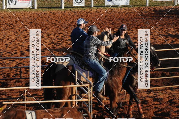 Buy your photos of the eventTEAM PENNING  GRANDE FINAL CAMARU on Fotop
