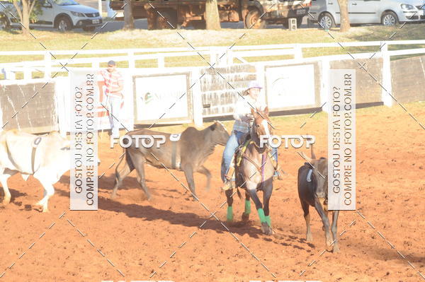 Buy your photos of the eventTEAM PENNING  GRANDE FINAL CAMARU on Fotop