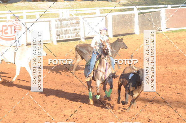 Buy your photos of the eventTEAM PENNING  GRANDE FINAL CAMARU on Fotop