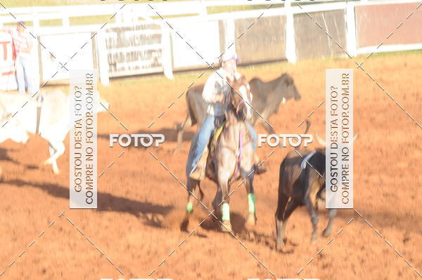Buy your photos of the eventTEAM PENNING  GRANDE FINAL CAMARU on Fotop