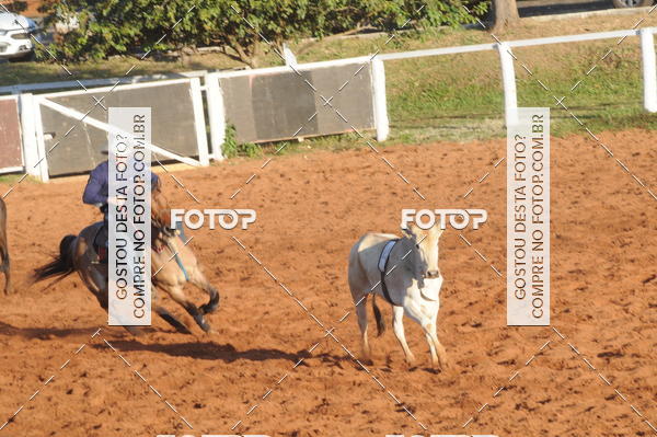 Buy your photos of the eventTEAM PENNING  GRANDE FINAL CAMARU on Fotop
