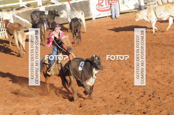 Buy your photos of the eventTEAM PENNING  GRANDE FINAL CAMARU on Fotop