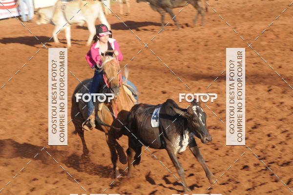 Buy your photos of the eventTEAM PENNING  GRANDE FINAL CAMARU on Fotop