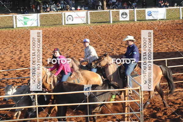 Buy your photos of the eventTEAM PENNING  GRANDE FINAL CAMARU on Fotop
