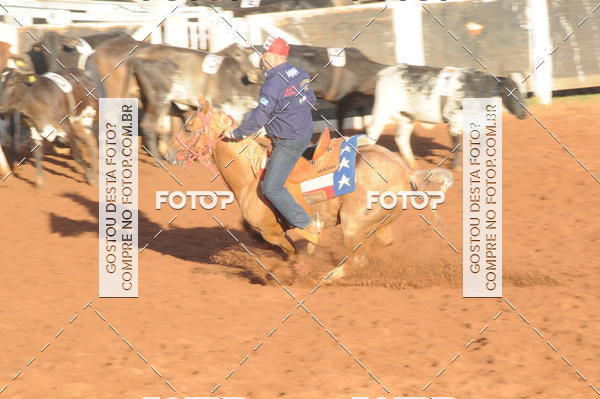 Buy your photos of the eventTEAM PENNING  GRANDE FINAL CAMARU on Fotop