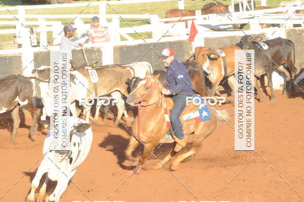 Buy your photos of the eventTEAM PENNING  GRANDE FINAL CAMARU on Fotop