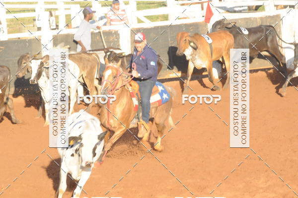 Buy your photos of the eventTEAM PENNING  GRANDE FINAL CAMARU on Fotop