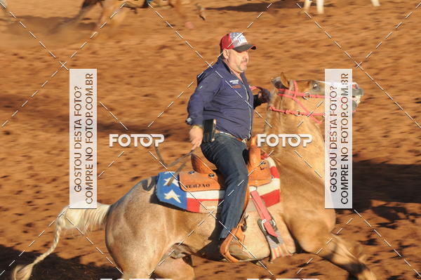 Buy your photos of the eventTEAM PENNING  GRANDE FINAL CAMARU on Fotop