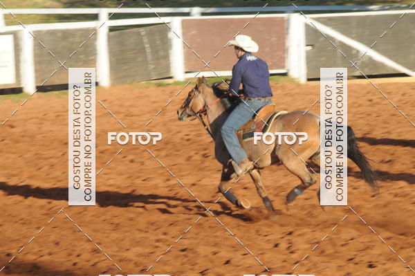 Buy your photos of the eventTEAM PENNING  GRANDE FINAL CAMARU on Fotop