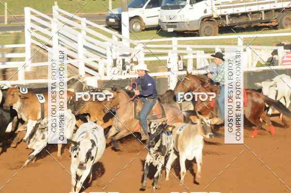 Buy your photos of the eventTEAM PENNING  GRANDE FINAL CAMARU on Fotop