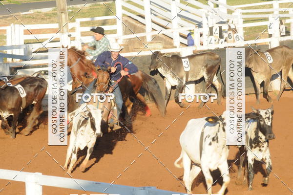 Buy your photos of the eventTEAM PENNING  GRANDE FINAL CAMARU on Fotop