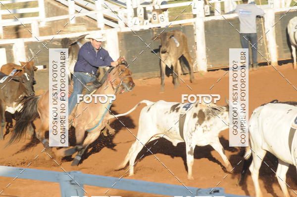 Buy your photos of the eventTEAM PENNING  GRANDE FINAL CAMARU on Fotop