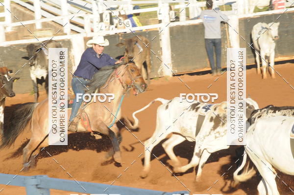 Buy your photos of the eventTEAM PENNING  GRANDE FINAL CAMARU on Fotop