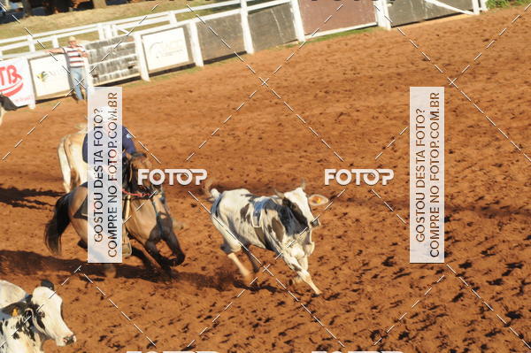 Buy your photos of the eventTEAM PENNING  GRANDE FINAL CAMARU on Fotop