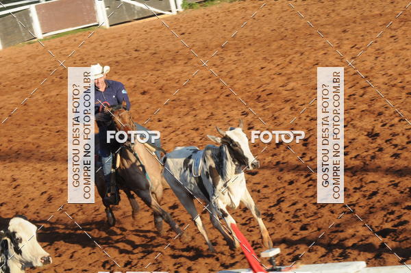 Buy your photos of the eventTEAM PENNING  GRANDE FINAL CAMARU on Fotop
