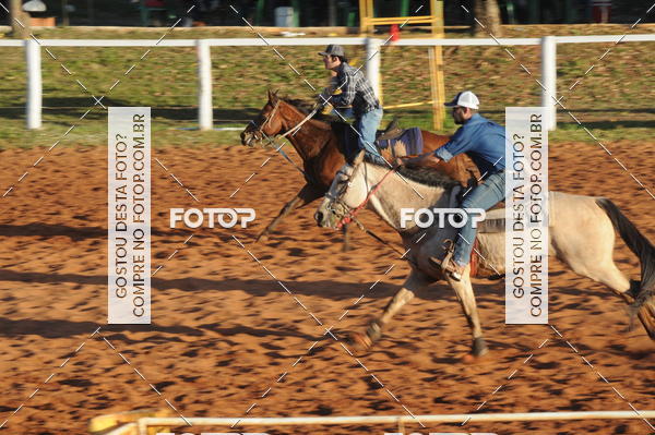Buy your photos of the eventTEAM PENNING  GRANDE FINAL CAMARU on Fotop