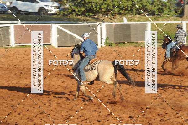 Buy your photos of the eventTEAM PENNING  GRANDE FINAL CAMARU on Fotop