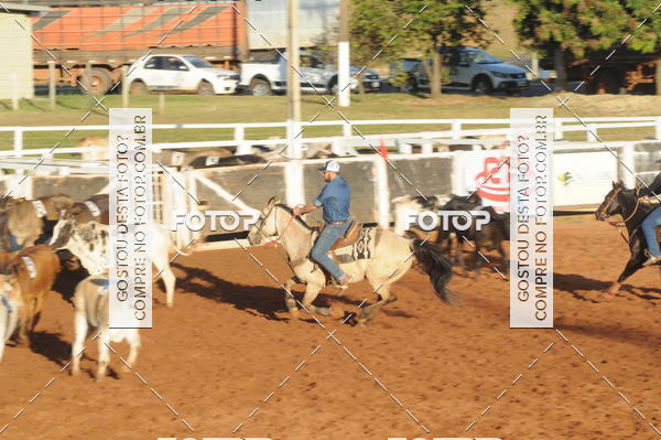 Buy your photos of the eventTEAM PENNING  GRANDE FINAL CAMARU on Fotop