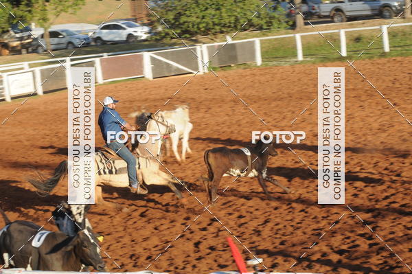 Buy your photos of the eventTEAM PENNING  GRANDE FINAL CAMARU on Fotop