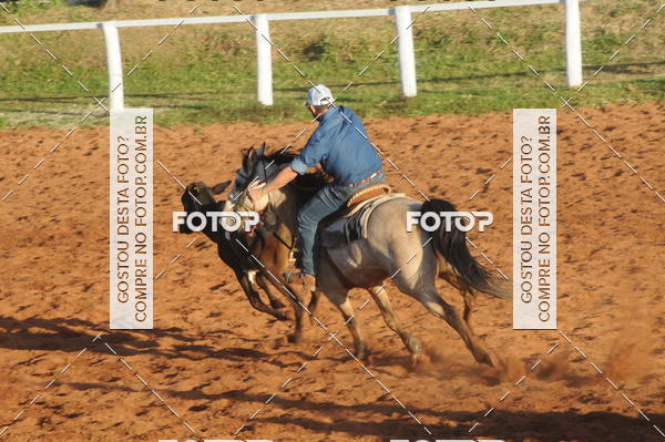 Buy your photos of the eventTEAM PENNING  GRANDE FINAL CAMARU on Fotop
