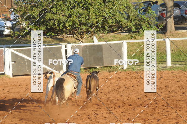 Buy your photos of the eventTEAM PENNING  GRANDE FINAL CAMARU on Fotop