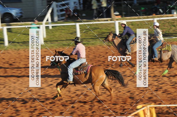 Buy your photos of the eventTEAM PENNING  GRANDE FINAL CAMARU on Fotop