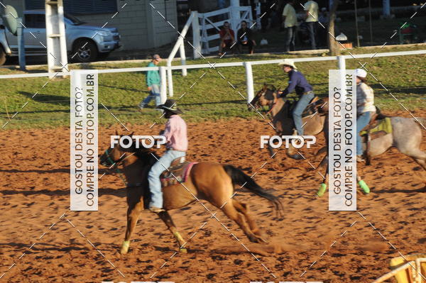 Buy your photos of the eventTEAM PENNING  GRANDE FINAL CAMARU on Fotop