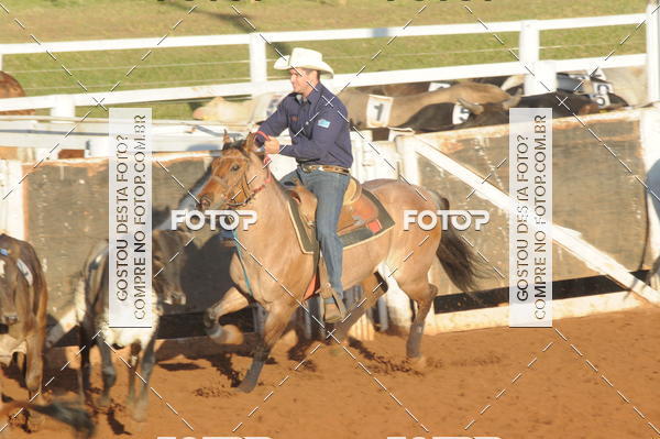 Buy your photos of the eventTEAM PENNING  GRANDE FINAL CAMARU on Fotop