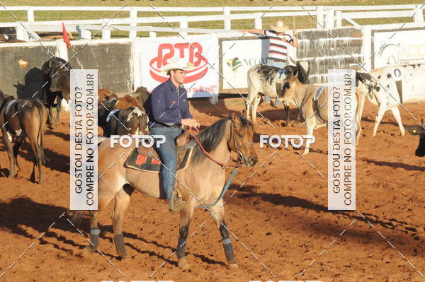 Buy your photos of the eventTEAM PENNING  GRANDE FINAL CAMARU on Fotop