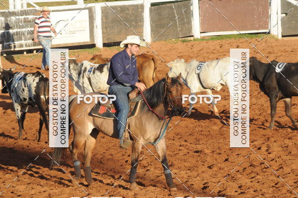 Buy your photos of the eventTEAM PENNING  GRANDE FINAL CAMARU on Fotop