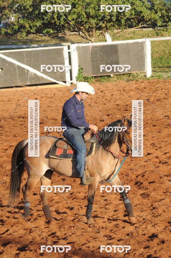 Buy your photos of the eventTEAM PENNING  GRANDE FINAL CAMARU on Fotop