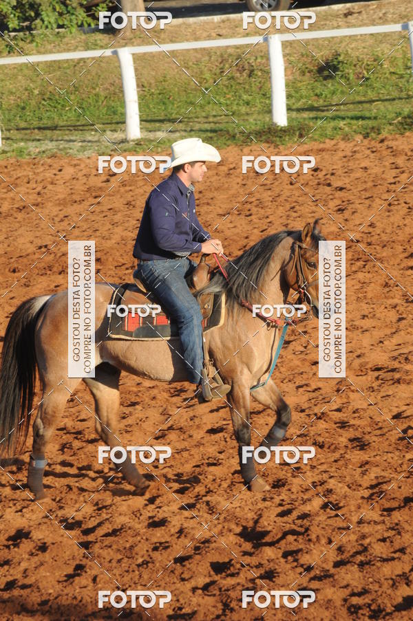 Buy your photos of the eventTEAM PENNING  GRANDE FINAL CAMARU on Fotop