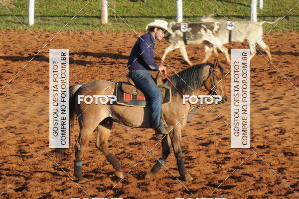 Buy your photos of the eventTEAM PENNING  GRANDE FINAL CAMARU on Fotop