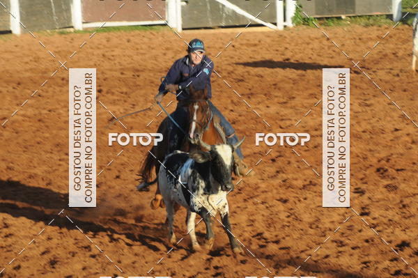 Buy your photos of the eventTEAM PENNING  GRANDE FINAL CAMARU on Fotop