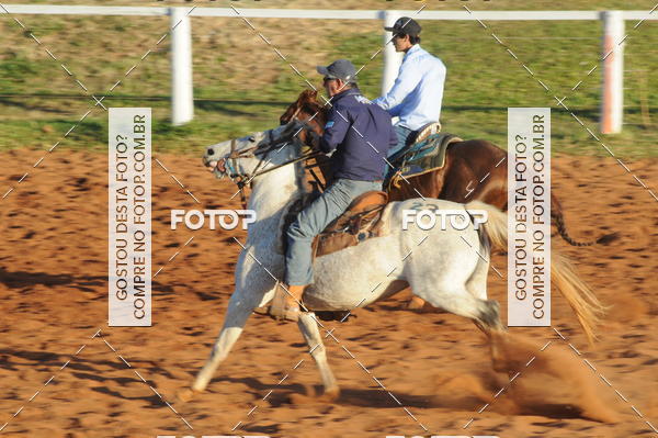 Buy your photos of the eventTEAM PENNING  GRANDE FINAL CAMARU on Fotop