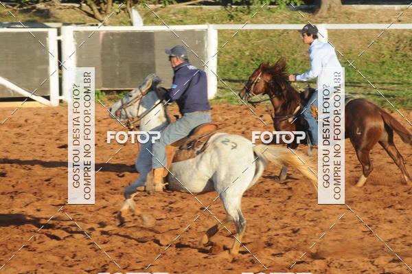 Buy your photos of the eventTEAM PENNING  GRANDE FINAL CAMARU on Fotop