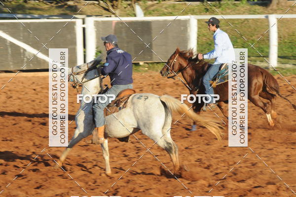 Buy your photos of the eventTEAM PENNING  GRANDE FINAL CAMARU on Fotop