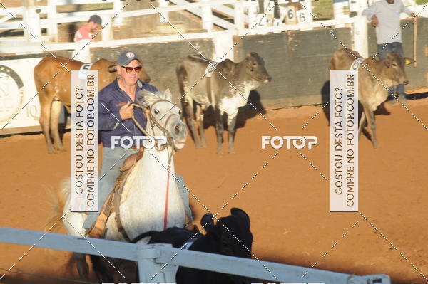 Buy your photos of the eventTEAM PENNING  GRANDE FINAL CAMARU on Fotop