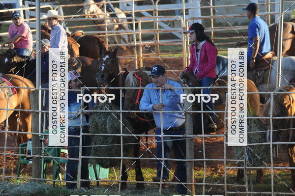 Buy your photos of the eventTEAM PENNING  GRANDE FINAL CAMARU on Fotop