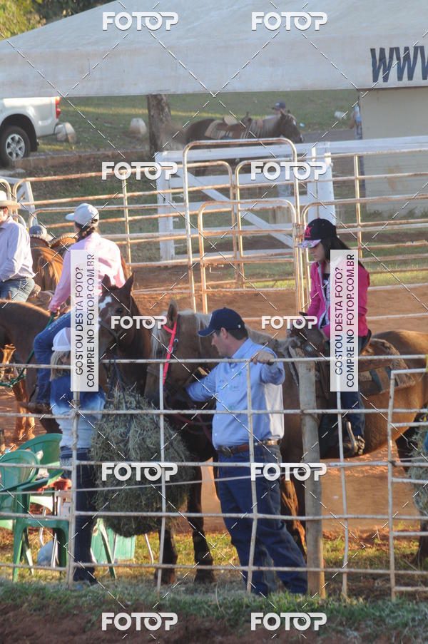 Buy your photos of the eventTEAM PENNING  GRANDE FINAL CAMARU on Fotop