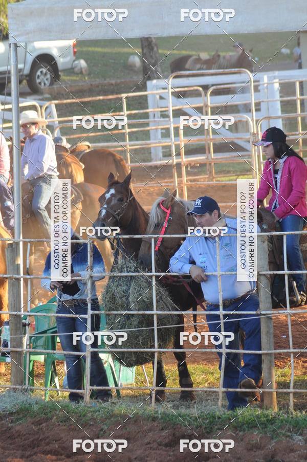 Buy your photos of the eventTEAM PENNING  GRANDE FINAL CAMARU on Fotop