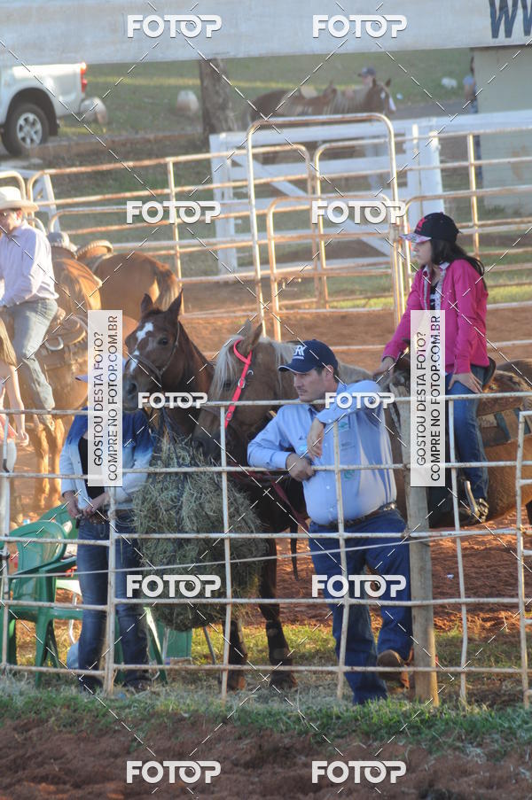 Buy your photos of the eventTEAM PENNING  GRANDE FINAL CAMARU on Fotop