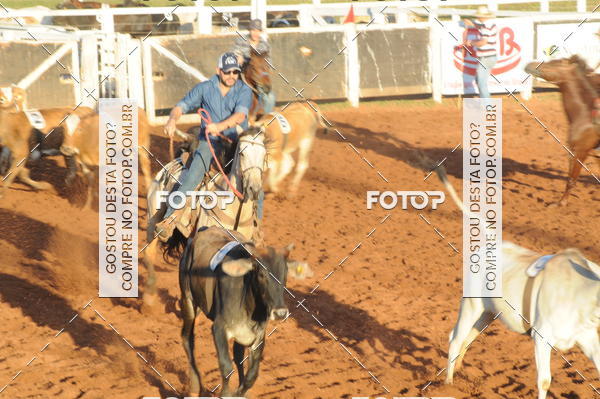 Buy your photos of the eventTEAM PENNING  GRANDE FINAL CAMARU on Fotop